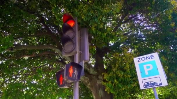 Traffic lights regulating traffic lights up in different colors. — Video Stock
