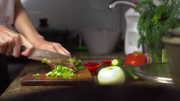 Ama de casa femenina prepara alimentos saludables en la cocina. Ella corta verduras. — Vídeo de stock
