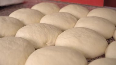 Pişirmeden önce hamuru kızartma tavasına koymak için hamur mayası topları.