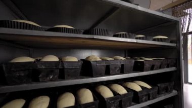 Jars for loaves of raw bread in bakery