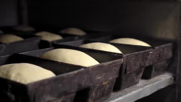 Jars for loaves of raw bread in bakery — Stockvideo