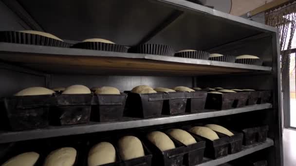 Słoiki na bochenki surowego chleba w piekarni — Wideo stockowe