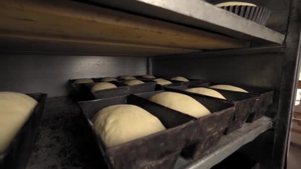 Jars for loaves of raw bread in bakery — Stock videók