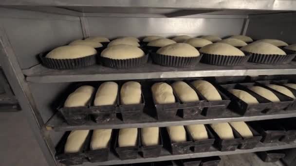 Jars for loaves of raw bread in bakery — Stock videók