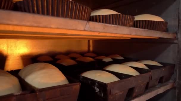 Jars for loaves of raw bread in bakery — Stok video