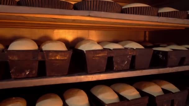 Jars for loaves of raw bread in bakery — Vídeo de stock