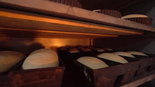 Frascos para pães crus na padaria — Vídeo de Stock