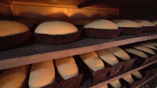 Frascos para pães crus na padaria — Vídeo de Stock