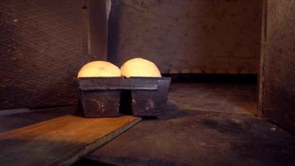 Baker places bread dough in oven with shovel. — Stockvideo