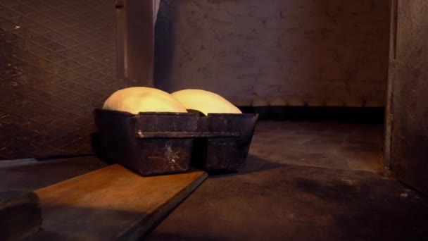 Baker places bread dough in oven with shovel. — Stockvideo
