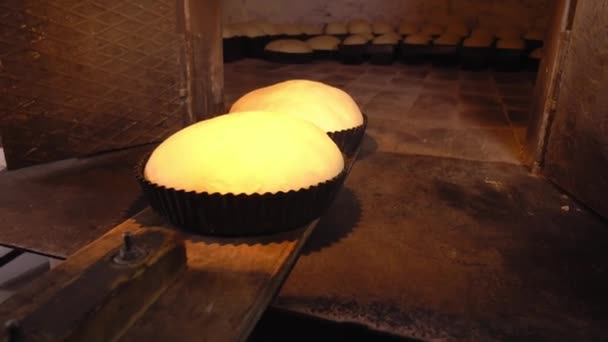 Baker plaatst brooddeeg in oven met schep. — Stockvideo