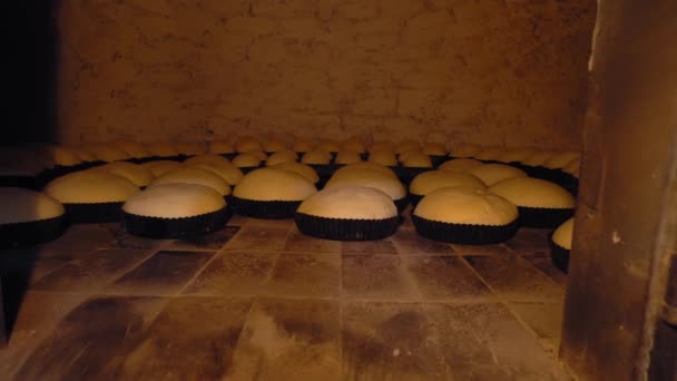 Rustic old retro oven that has lot of bread in it. — Video