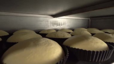 Kavanozlar fırında çiğ ekmek için.