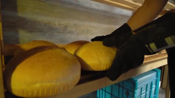 Baking hands place freshly baked bread on wooden shelf of bakery or store. — Stockvideo