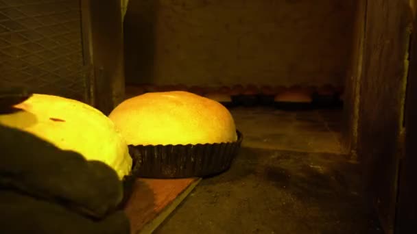 Baker neemt brood mee naar de oven met schep. — Stockvideo