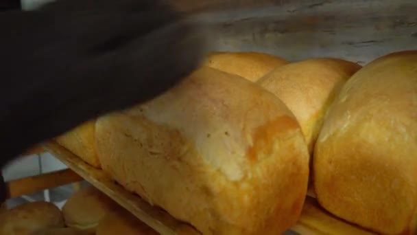 Baking hands place freshly baked bread on wooden shelf of bakery or store. — Stockvideo