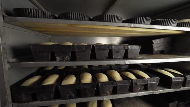 Pékségben nyers kenyérhez való tégely — Stock videók