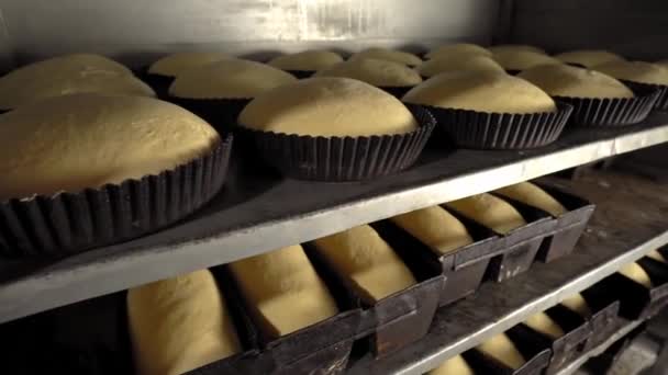 Jars for loaves of raw bread in bakery — 图库视频影像