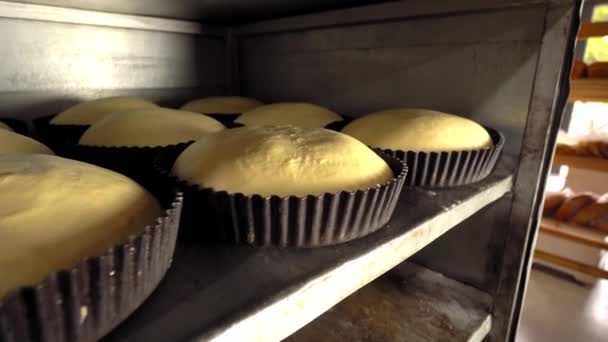 Jars for loaves of raw bread in bakery — Vídeo de stock