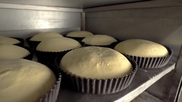 Nádoby na bochníky syrového chleba v pekárně — Stock video
