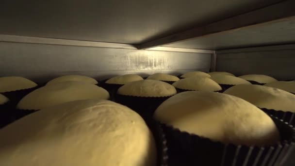 Jars for loaves of raw bread in bakery — Stockvideo
