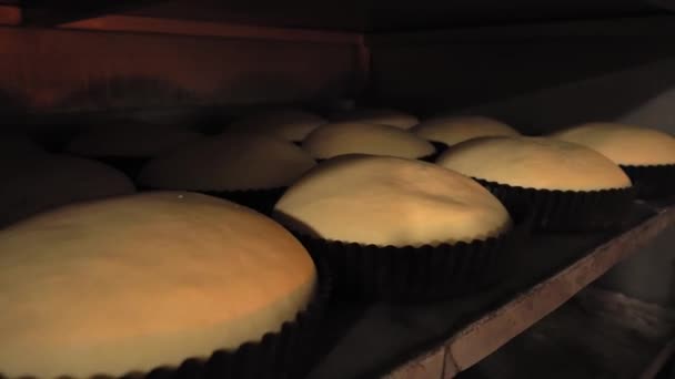 Баночки для хліба сирого хліба в пекарні — стокове відео
