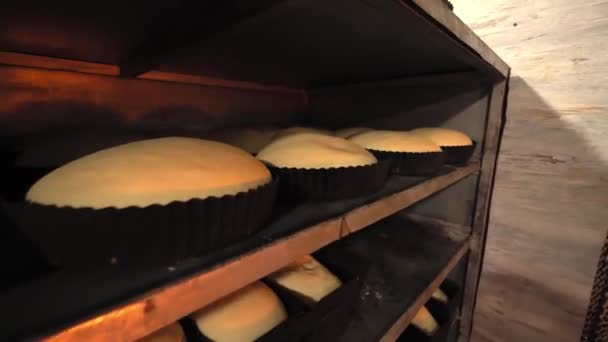 Jars for loaves of raw bread in bakery — ストック動画