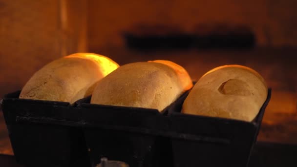 Рустикальна стара ретро піч, яка має в ній багато хліба . — стокове відео