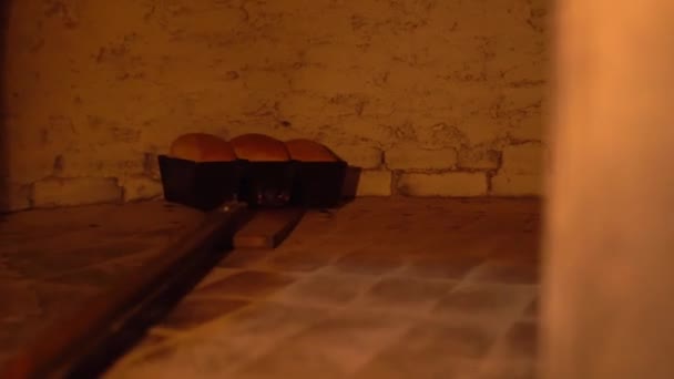 Baker neemt brood mee naar de oven met schep. — Stockvideo