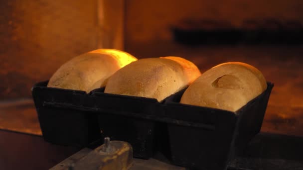 Rustic old retro oven that has lot of bread in it. — Stockvideo