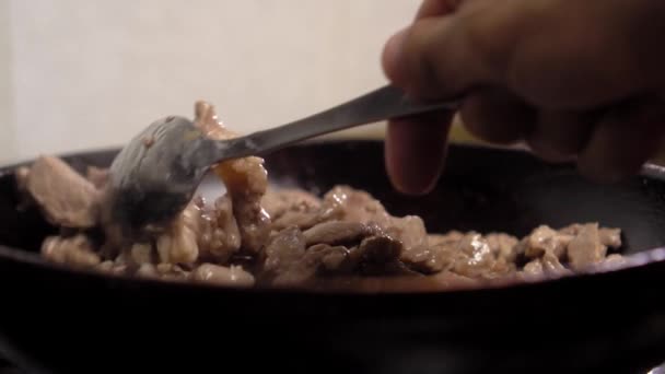 Woman's hand spoons meat in frying pan. Close-up. — Wideo stockowe