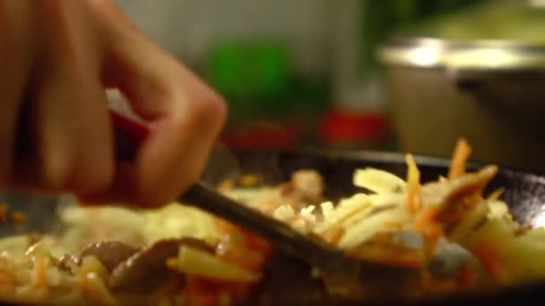 Frying pan with meat and vegetables close-up. Female rka mixes contents. — Stock video
