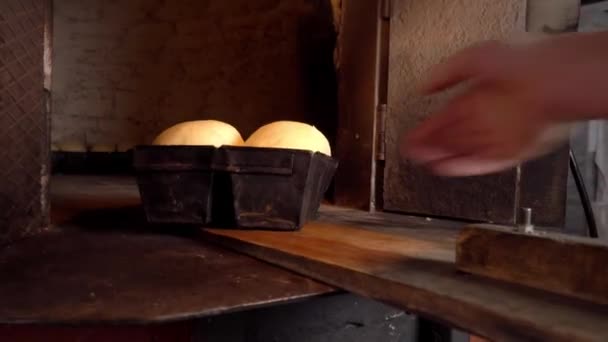 Baker places bread dough in oven with shovel. — Wideo stockowe