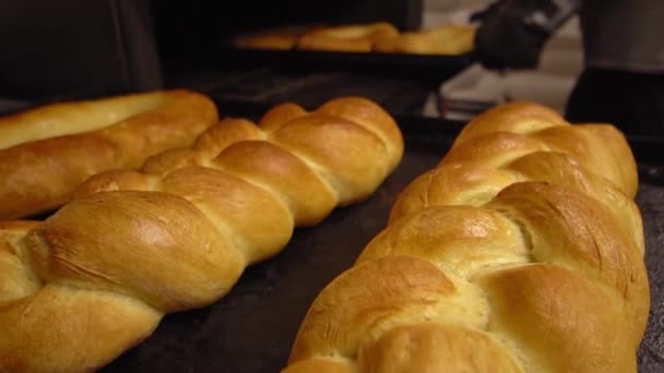 Bäcker holt Brot mit Schaufel in den Ofen. — Stockvideo