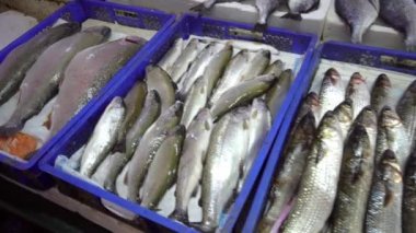 Batumi Georgia 'daki taze deniz ürünleri pazarı. Buzda canlı balık. Flounder, kırmızı kefal, somon balığı, yayın balığı, yılan balığı, kurbağa, ışın balığı, mersin balığı, midye, istiridye. Markette buzlu balık. Balıklar sokakta satılır..