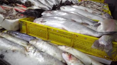 Fresh seafood market in Batumi Georgia. Live fish in ice. Flounder, red mullet, salmon, catfish, eel, frogs, rays, sturgeon, mussels, oysters. orefood in ice at counter market. Fish is sold on street.