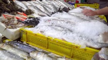 Batumi Georgia 'daki taze deniz ürünleri pazarı. Buzda canlı balık. Flounder, kırmızı kefal, somon balığı, yayın balığı, yılan balığı, kurbağa, ışın balığı, mersin balığı, midye, istiridye. Markette buzlu balık. Balıklar sokakta satılır..
