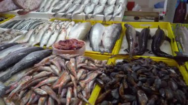 Batumi Georgia 'daki taze deniz ürünleri pazarı. Buzda canlı balık. Flounder, kırmızı kefal, somon balığı, yayın balığı, yılan balığı, kurbağa, ışın balığı, mersin balığı, midye, istiridye. Markette buzlu balık. Balıklar sokakta satılır..