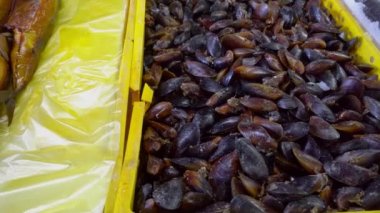 Batumi Georgia 'daki taze deniz ürünleri pazarı. Buzda canlı balık. Flounder, kırmızı kefal, somon balığı, yayın balığı, yılan balığı, kurbağa, ışın balığı, mersin balığı, midye, istiridye. Yengeç, Yu osminog ve kraliyet kadifeleri. Balıklar sokakta satılır..