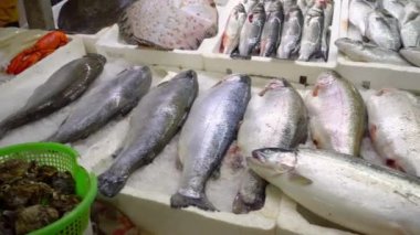 Fresh seafood market in Batumi Georgia. Live fish in ice. Flounder, red mullet, salmon, catfish, eel, frogs, rays, sturgeon, mussels, oysters. orefood in ice at counter market. Fish is sold on street.
