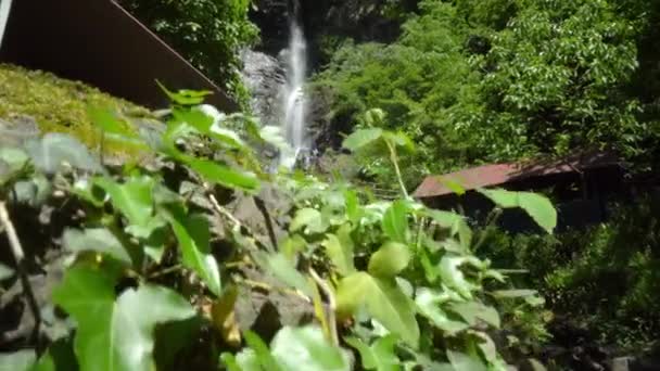 Batumi Georgia May 2022 Makhuntseti Waterfall One Highest Waterfalls Adjara — Video
