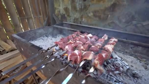 Pickled Kebab Cooked Grill Coals Barbecue Popular Eastern Europe Mouth – Stock-video