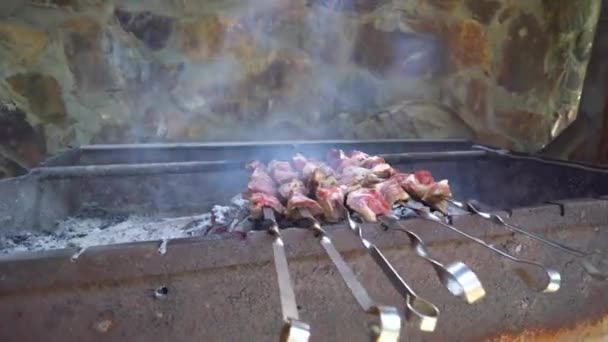 Pickled Kebab Cooked Grill Coals Barbecue Popular Eastern Europe Mouth – stockvideo