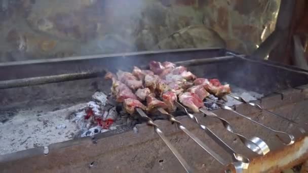 Pickled Kebab Grilled Coals Man Hand Stirs Skewer Delicious Pieces — Vídeo de stock
