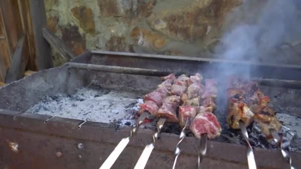 Pickled Kebab Grilled Coals Man Hand Stirs Skewer Delicious Pieces – Stock-video