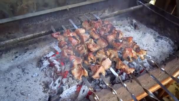 Pickled Kebab Cooked Grill Coals Barbecue Popular Eastern Europe Mouth – Stock-video