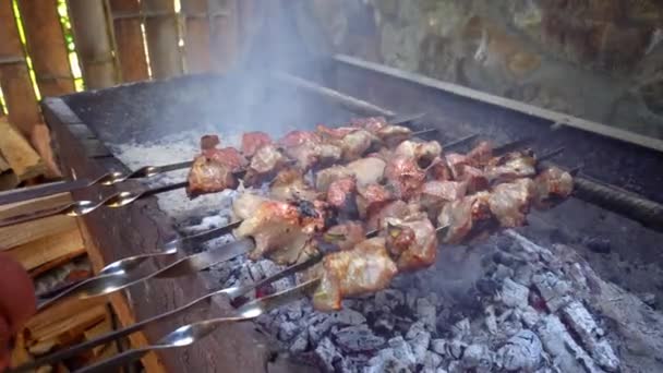 Pickled Kebab Grilled Coals Man Hand Stirs Skewer Delicious Pieces – stockvideo