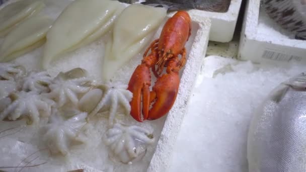 Fresh Seafood Market Batumi Georgia Live Fish Ice Flounder Red — 图库视频影像