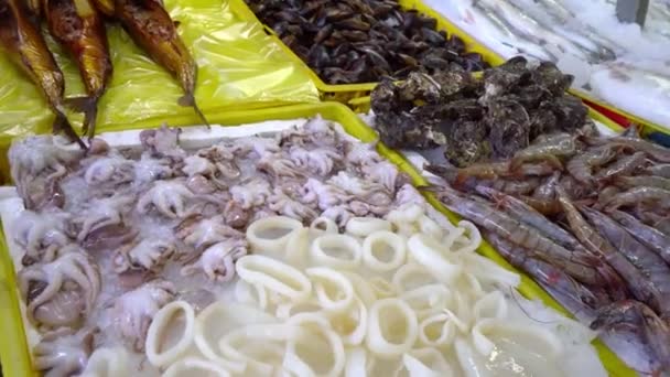 조지아 바투미에 해산물 얼음에 물고기 뱀장어 뱀장어 개구리 철갑상어 Crab — 비디오