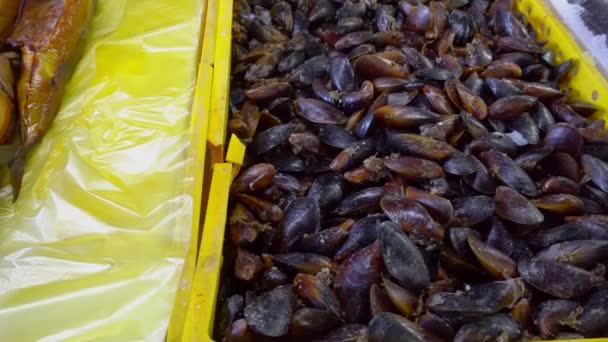 Fresh Seafood Market Batumi Georgia Live Fish Ice Flounder Red — Stok video